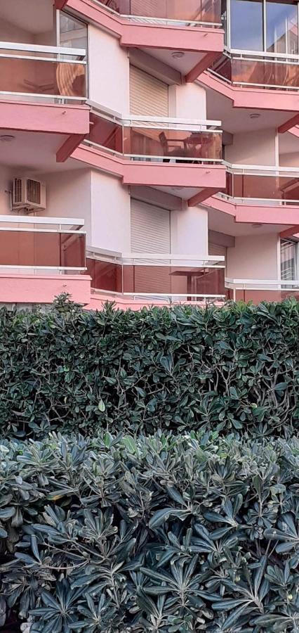 Studio Pop Canet En Roussillon Εξωτερικό φωτογραφία